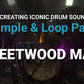 Sample & Loop Pack: Fleetwood Mac